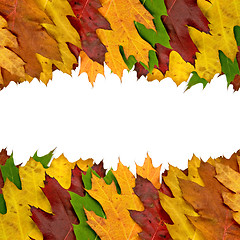 Image showing autumn leaves border