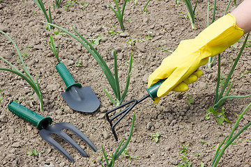 Image showing garden work - weeding 