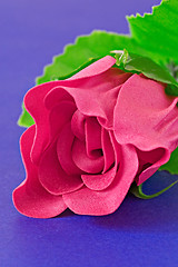 Image showing pink  rose 