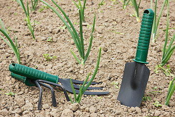 Image showing tools in a garden