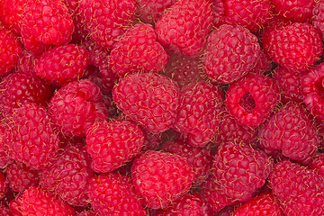 Image showing freshly picked ripe raspberries 