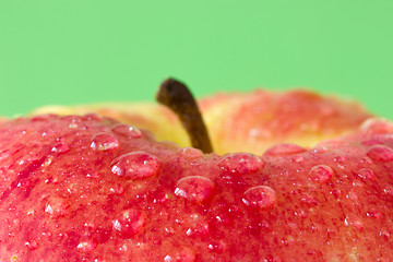 Image showing  wet apple on a green background