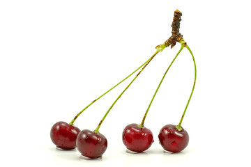 Image showing dark red cherries 