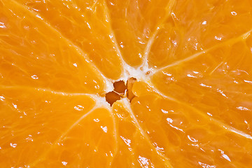 Image showing close-up of  orange fruit