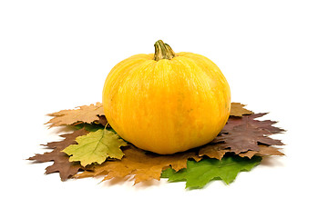 Image showing pumpkin and autumnal leaves