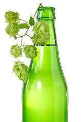 Image showing bottle of beer and branch of hop