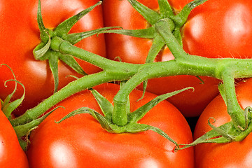 Image showing close up of red  tomatoes