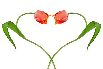 Image showing Heart from two tulips