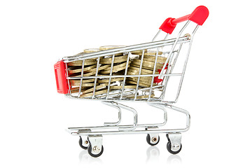 Image showing shopping cart with coins 
