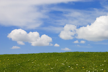 Image showing Green grass and blue sky