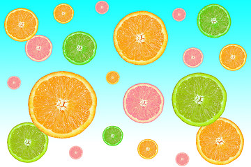 Image showing colorful slices of citrus fruits