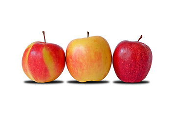 Image showing three fresh apples