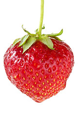 Image showing Red strawberries berry 