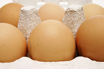 Image showing Six brown eggs in a box