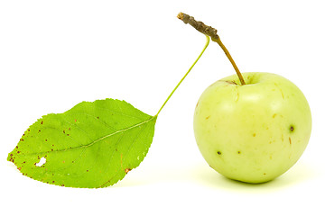 Image showing  apple with leaf