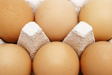 Image showing Six brown eggs in a box