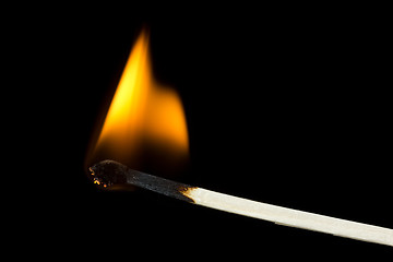 Image showing Burning flame on a  matchstick 