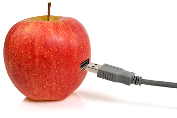 Image showing  apple and USB plug