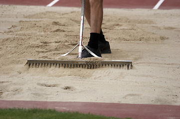 Image showing Sand Grooming