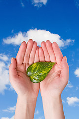 Image showing hands holding leaf on sky background