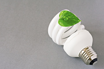 Image showing eco lightbulb with green leaf