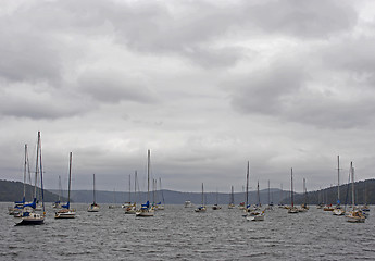 Image showing Moored Boats