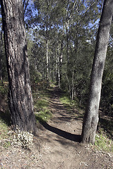 Image showing Pathway