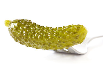 Image showing fork with pickled cucumber