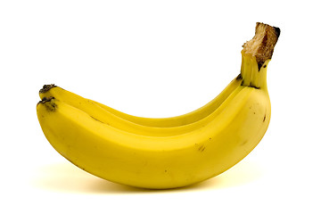 Image showing Bunch of yellow bananas