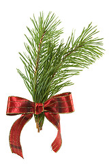 Image showing green pine branch with red bow