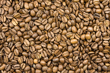 Image showing coffee beans