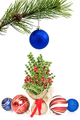 Image showing pine branch and christmas decorations