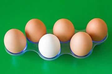Image showing white egg in a middle of brown