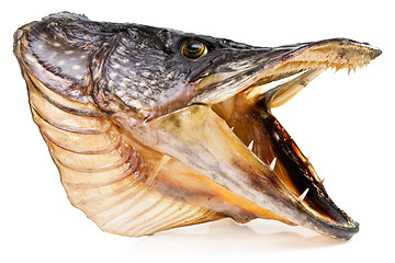 Image showing pike fish head over white background