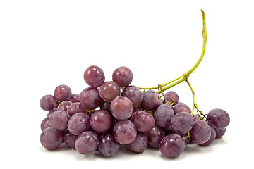 Image showing bunch of blue grapes