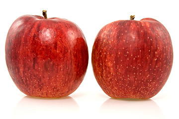 Image showing two fresh rip apples