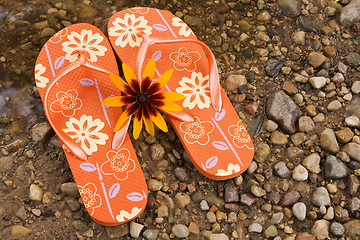 Image showing flip flops  beside the river