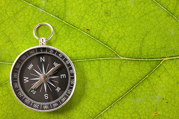 Image showing Compass on the leaf texture
