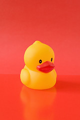 Image showing rubber duckling on red background