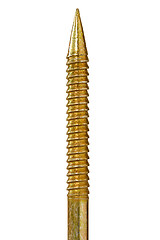 Image showing golden screw