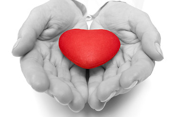 Image showing female hands holding red heart