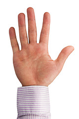 Image showing open human palm