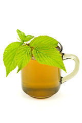 Image showing cup with tea and green leaves