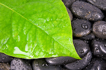 Image showing leaf and zen stones after rain