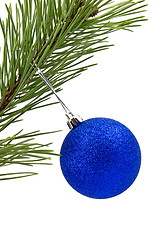 Image showing pine branch with blue christmas bauble