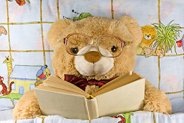 Image showing teddy-bear with glasses reading a book