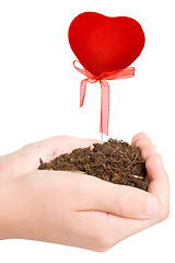 Image showing hands with soil and growing heart