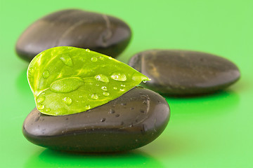 Image showing  stones with leaf on green background