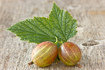 Image showing gooseberries with leaf 