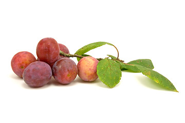 Image showing plums with leaves